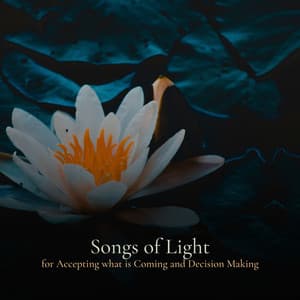 * Songs of Light for Accepting what is Coming and Decision Making * - Ambient Nature White Noise