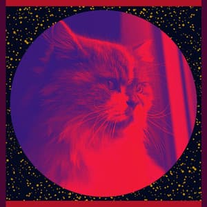 Music - Relaxing Cats - Cat Total Relax