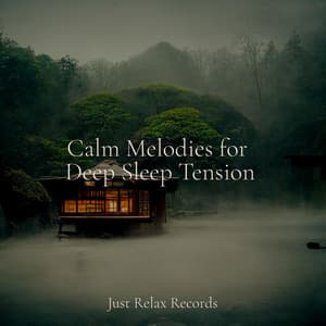 Calm Melodies for Deep Sleep Tension - Sleepy Night Music