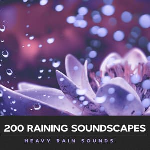 200 Raining Soundscapes - Heavy Rain Sounds