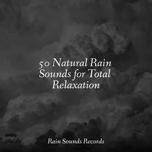 50 Natural Rain Sounds for Total Relaxation - Anxiety Relief