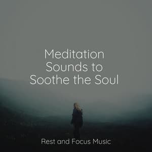Meditation Sounds to Soothe the Soul - Massage
