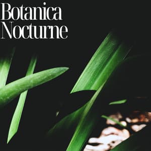Botanica Nocturne: Nature’s Healing Symphony - Zen Natural Sounds