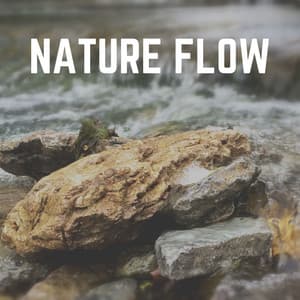 Nature Flow - Babbling Brook