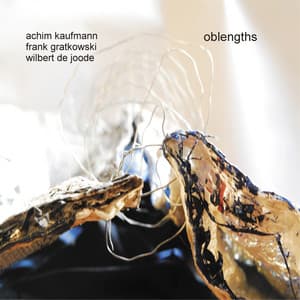 Oblengths - Achim Kaufmann