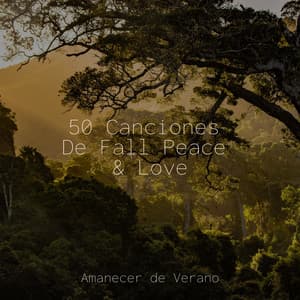 50 Canciones De Fall Peace & Love - Musica de Relajación Academy