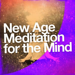 New Age Meditation for the Mind - The New Age Meditators