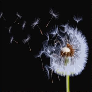 Soothing Winds - Mother Nature Sound FX