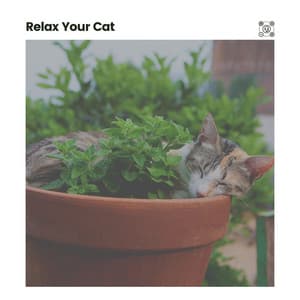 Relax Your Cat - Ambient Music Therapy