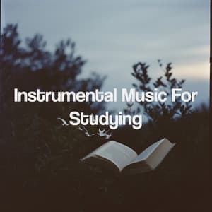 Instrumental Music For Studying - Entspannungsmusik