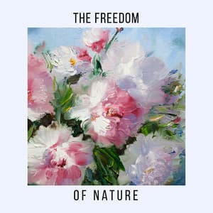 The Freedom of Nature: Take A Break and Breathe - Nature Ambience