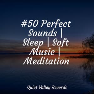 #50 Perfect Sounds | Sleep | Soft Music | Meditation - Wave Sound Group