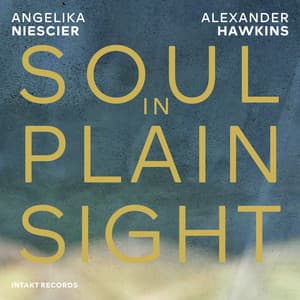 Soul in Plain Sight - Angelika Niescier