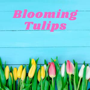 Blooming Tulips - Elton Ames