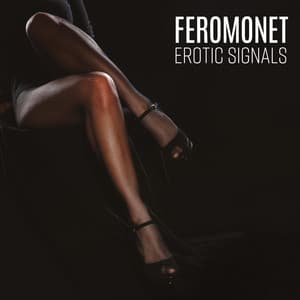 Feromonet: Erotic Signals - Slow Sex Music