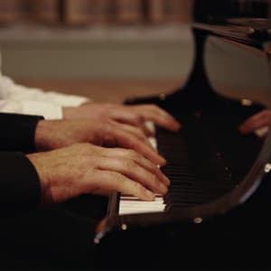 Quatre Mains - Sebastiaan Van Bavel