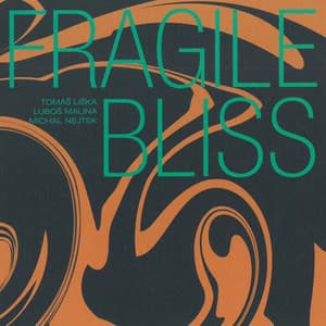 Fragile Bliss - Tomáš Liška