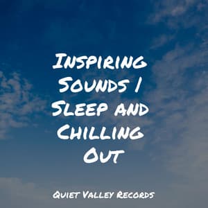 Inspiring Sounds | Sleep and Chilling Out - Zarobi