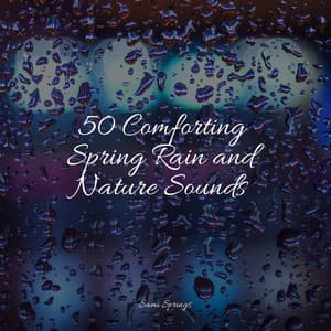 50 Comforting Spring Rain and Nature Sounds - Sons da Natureza & Relaxamento
