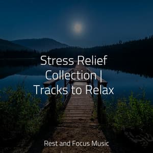 Stress Relief Collection | Tracks to Relax - Deep Focus