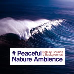 # Peaceful Nature Ambience - Nature Sounds & Backgrounds