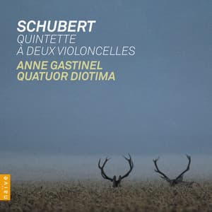 Schubert: Quintette à deux violoncelles - Franz Schubert