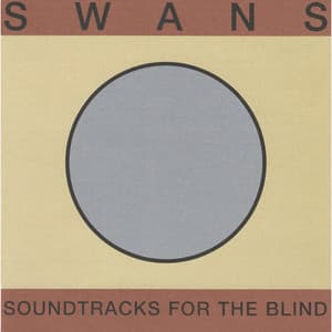 Soundtracks for the Blind - Swans