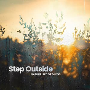 Step Outside - Nature Recordings