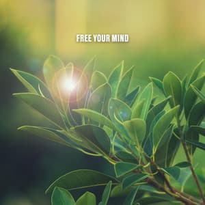 Free Your Mind - Sounds for Life
