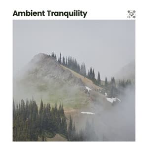 Ambient Tranquility - Ruhige Musik