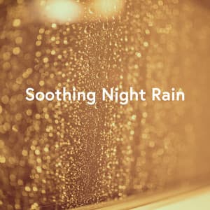 Soothing Night Rain - Zen Zenati