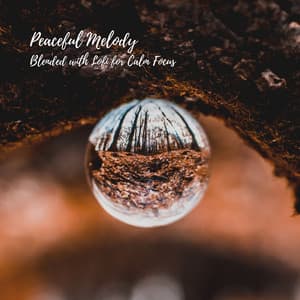 Peaceful Melody: Blended with Lofi for Calm Focus - Korean Chill