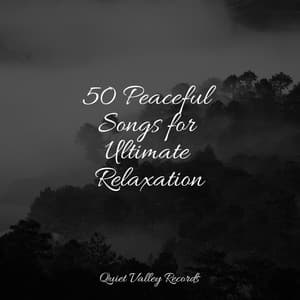 50 Peaceful Songs for Ultimate Relaxation - Sleep Music System