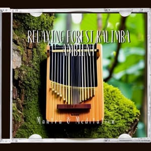 Relaxing Forest Kalimba Ambient - Mantra & Meditation