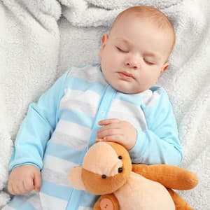 Twilight's Baby Lullaby: A Harmonious Naptime Journey - Baby Songs