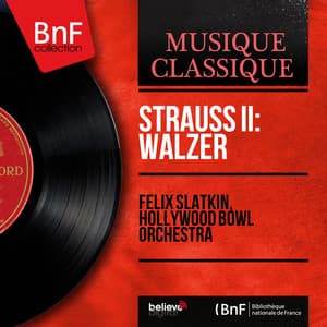 Strauss II: Walzer - Johann Strauss II