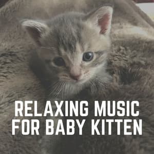 Relaxing Music for Baby Kitten - Music for Cats Peace