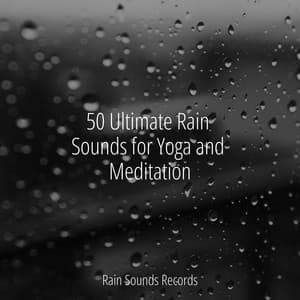 50 Ultimate Rain Sounds for Yoga and Meditation - Ocean Sounds