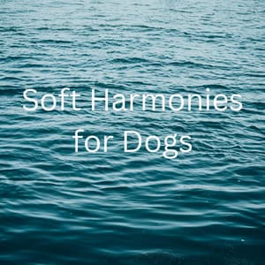 Soft Harmonies for Dogs - Música De Relajación Para Dormir Profundamente
