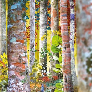 Do You Know Me Now? – The Samadhisound Box Set - David Sylvian