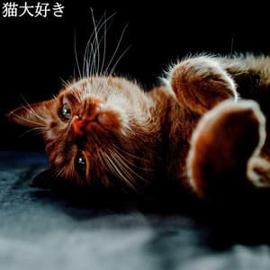 猫大好き - Easy Listening Jazz
