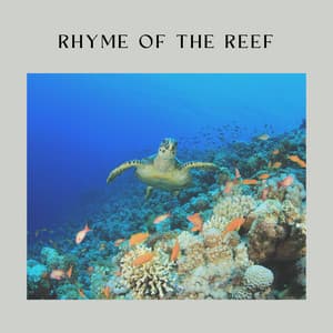 Rhyme of the Reef - Ocean Atmospheres