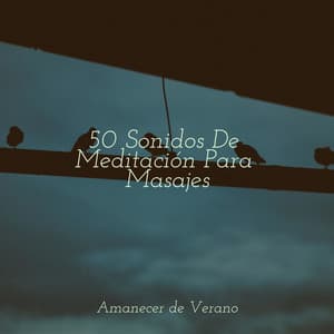 50 Sonidos De Meditación Para Masajes - Bedtime Baby