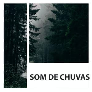 Som De Chuvas - Sons de chuva para dormir