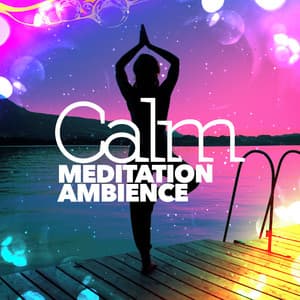 Calm Meditation Ambience - Echoes of Nature