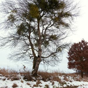 Rachmaninoff 150 - Sergei Rachmaninoff