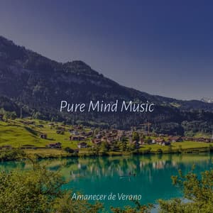 Pure Mind Music - Sonido de lluvia