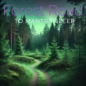 Forest Road to Mantra Sleep - Trouble Sleeping Music Universe