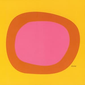 Det Eneste Jeg Vet Er at Det Ikke Er En Støvsuger - Lene Grenager