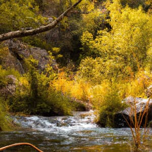 ! ! ! ! ! AmazingDreams Forest - Músicas Para Relaxar